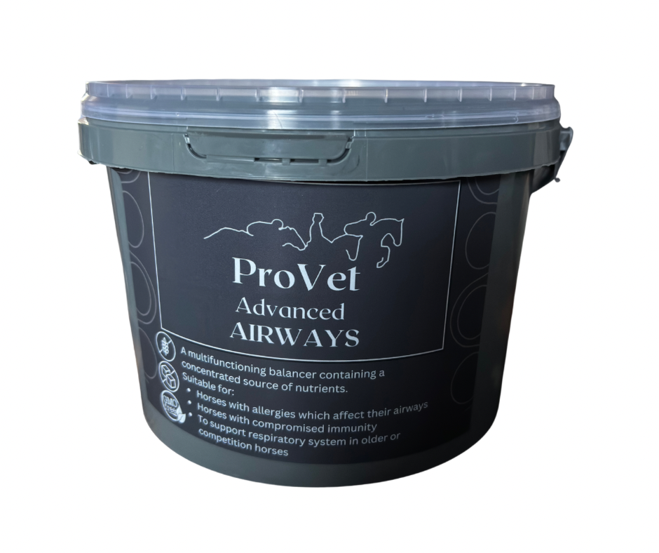 ProVet Airways